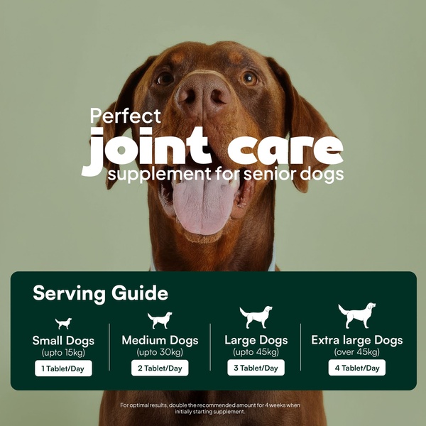 This static square creative uses a high-quality portrait of a dog paired with a prominent, easy-to-read dosage table for different weight categories.
